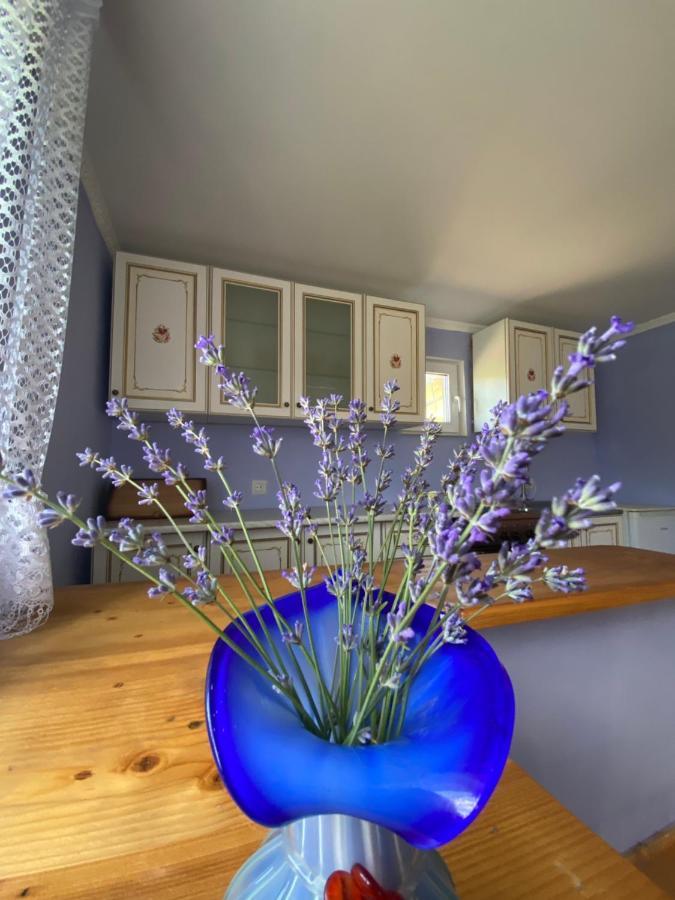 Біля Саду Volovets Exterior foto